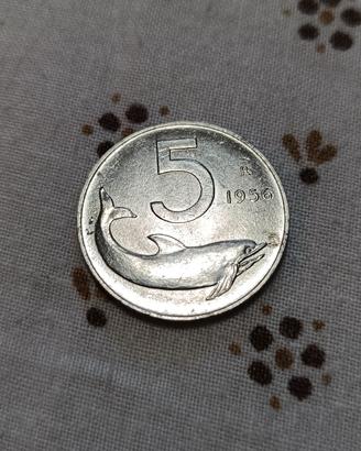  moneta 5 lire 1956  repubblica italiana 