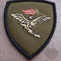 Distintivo scudetto brig. AV-ES  esercito italiano