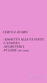 Add.vendite/cassiera/segreteria/pulizie