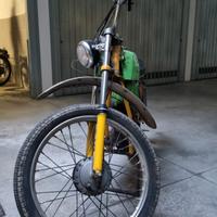 Cimatri kaiman- 1969