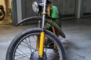 Cimatri kaiman- 1969