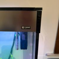 Acquario CIANO 200 litri