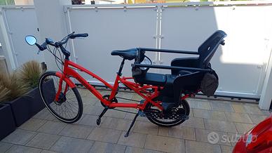 cargo bike elettrica pandabike