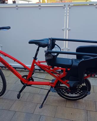 cargo bike elettrica pandabike