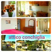 CON TERRAZZO appartamento due posti