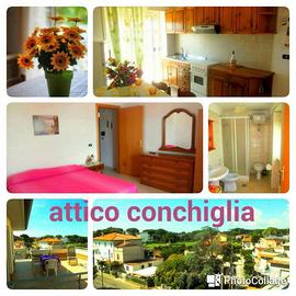 CON TERRAZZO appartamento due posti