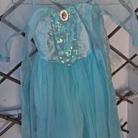 costume Frozen