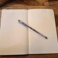 Ghostwriter