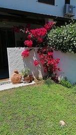 San Felice Circeo zona Golfo Sereno