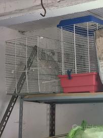 gabbie per uccellini