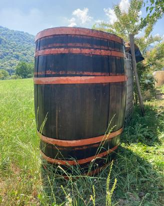 Botte in legno