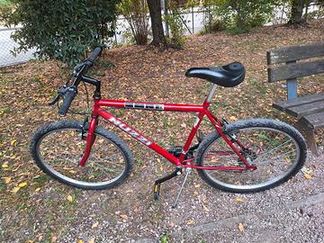 Bicicletta mtb