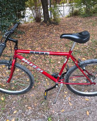 Bicicletta mtb
