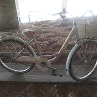 bicicletta ruote da 24