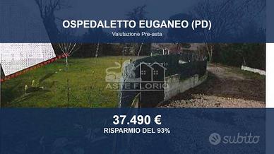 Immobile in asta di 4345 m² a Ospedaletto Euganeo