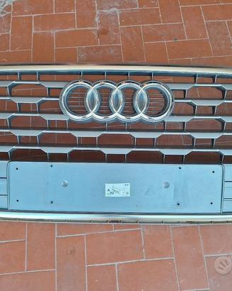 Griglia anteriore Audi Q2