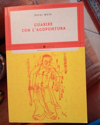 Guarire con l' agopuntura 