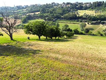 LOTTO DI TERRENO AGRICOLO in ZONA CAMPOFILONE