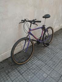 Bici Grimper