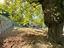 Immagine 25