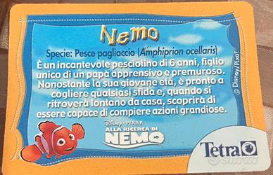 Nemo(Amphiprion ocellaris)card Tetra&Disney Pixsar
