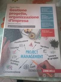 Gestione Progetto, organizzazione d'impresa