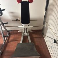 Hack squat