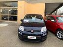 fiat-panda-1-0-firefly-s-s-hybrid-easy