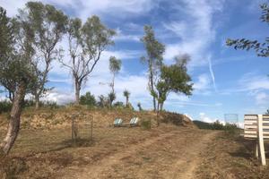 Terreno agricolo