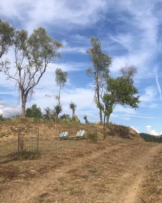 Terreno agricolo