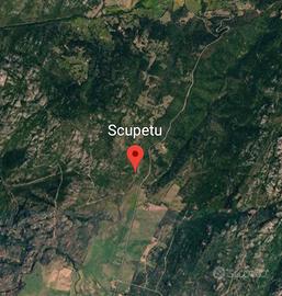 Terreno agricolo
