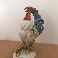 Gallo numerato di Cacciapuoti