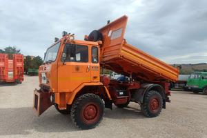 Camion Iveco 80-14 4x4 Rib