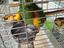 Immagine 2
