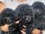 Immagine 4