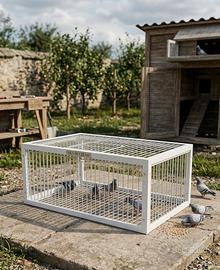 Gabbia piccioni