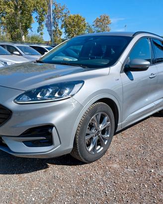 Ford Kuga 1.5 EcoBlue 120 CV aut. 2WD ST-Line X