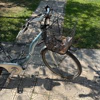 Bici elettrica