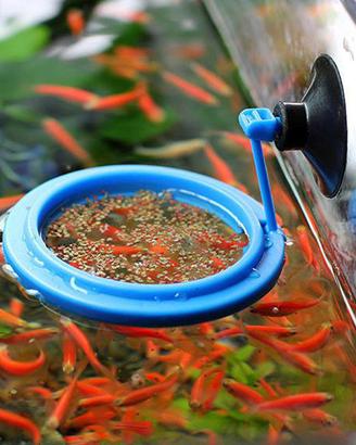 Anello galleggiante mangime con ventosa ACQUARIO