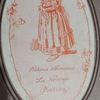Libro :Bozena Nemcova