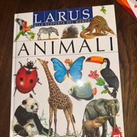 Set di libri (24 libri)