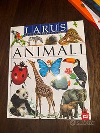 Set di libri (24 libri)