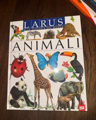 Set di libri (24 libri)