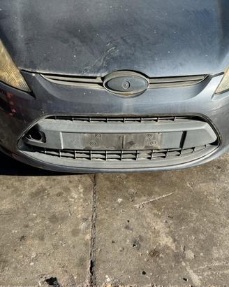 Musata ford fiesta 2008