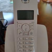 telefono portatile di casa