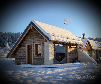 Camera indipendente con bagno e giardino esclusivo