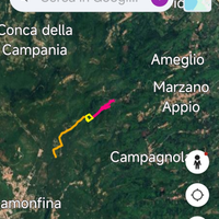 Castagneto con rustico in Marzano Appio