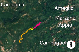 Castagneto con rustico in Marzano Appio