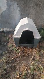cuccia per cane