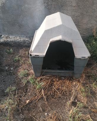 cuccia per cane